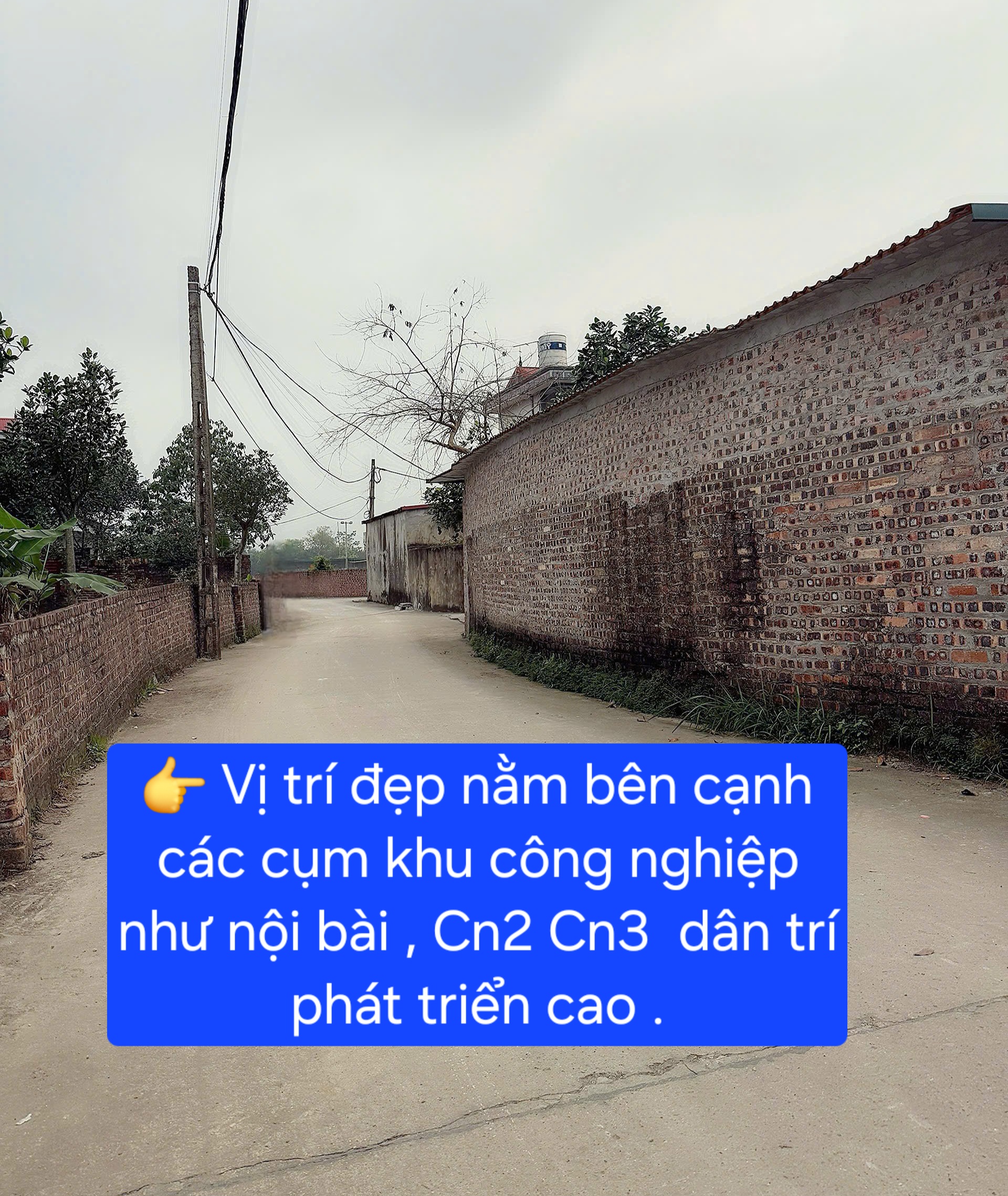Bán đất