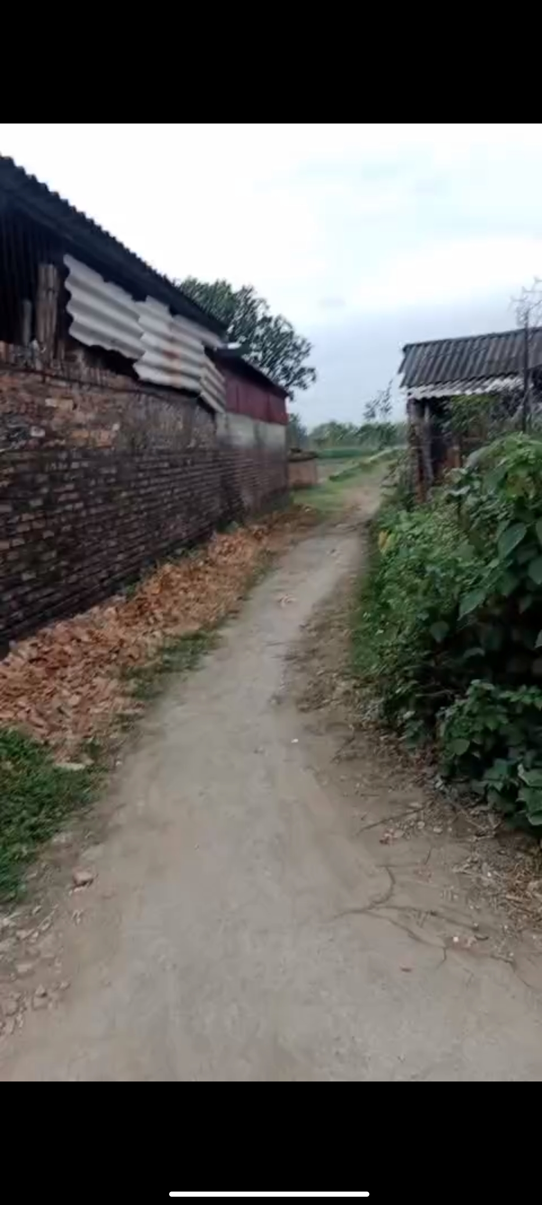 251m2 Đông Lỗ