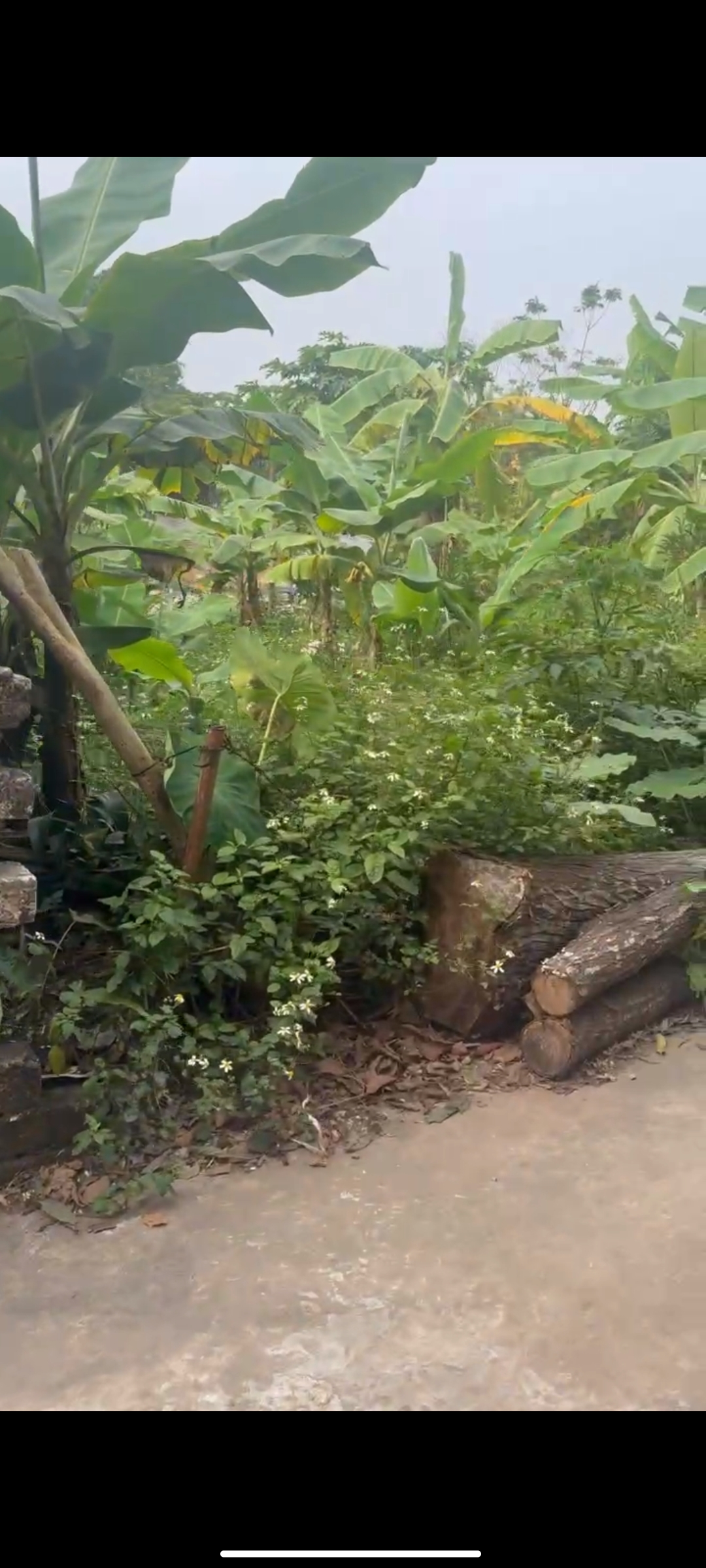 106m2 Tân Hưng