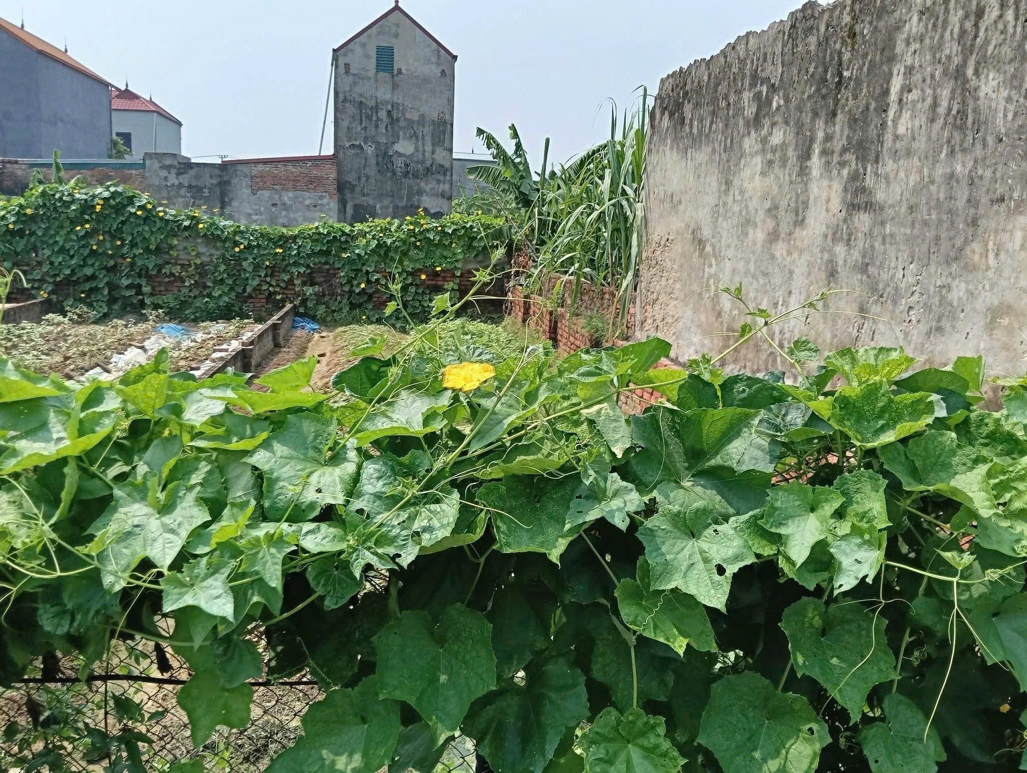 63m2 Quang Tiến